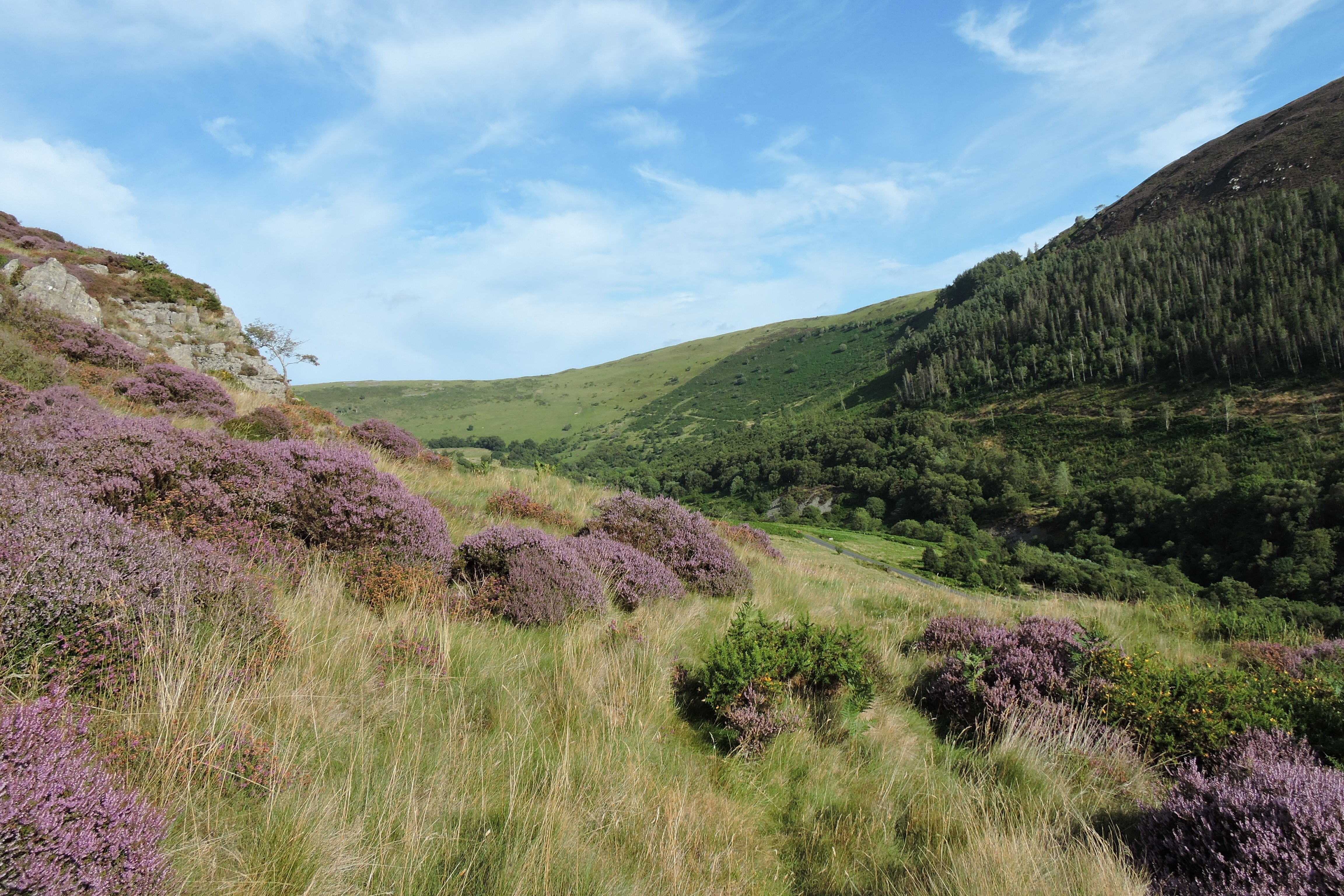 MARTEG VALLEY. Bill Bagley Photography